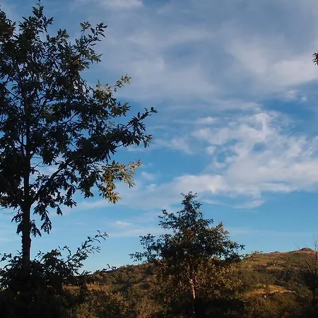 Aldeia Do Codecal