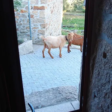 Aldeia Do Codecal
