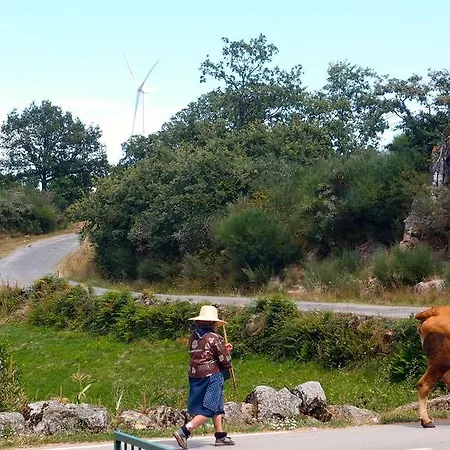 Aldeia Do Codecal Codecal (Viseu)